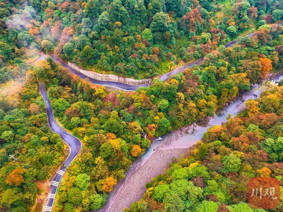 大熊猫带你“森”呼吸！四川省生态旅游节下周在雅安荥经开幕(图3)