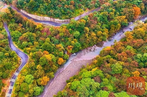 央地政策助推 激活内生动力 乡村旅游发展驶入提质升级快车道