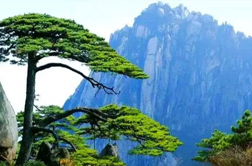 <strong>安徽旅游攻略：畅游景点的交通秘籍</strong>