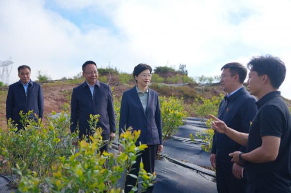 四川:施小琳在凉山州调研时强调 做强特色优势产业 着力保障改善民生 扎实推动民族地区高质量发展(图2) 四川:施小琳在凉山州调研时强调 做强特色优势产业 着力保障改善民生 扎实推动民族地区高质量发展(图2)