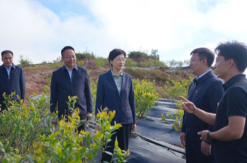 四川：施小琳在凉山州调研时强调 做强特色优势产业 着力保障改